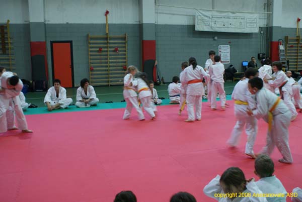 judo11