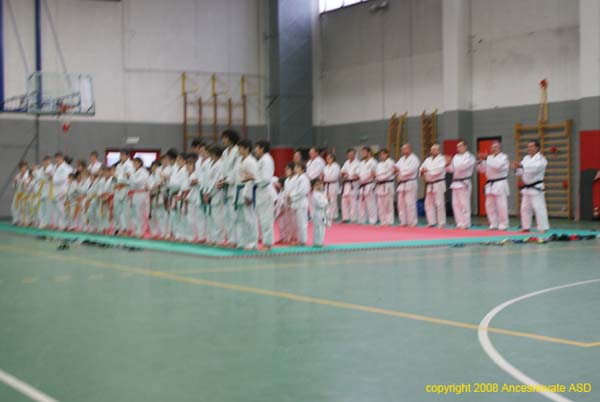 judo6