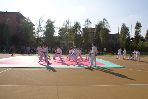 DSC08252
