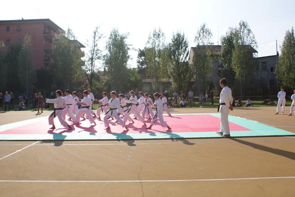 DSC08253