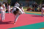 DSC08208