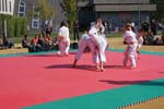DSC08209