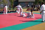 DSC08210
