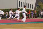 DSC08243