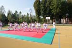 DSC08250