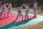 DSC08258