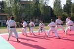 DSC08266